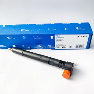 Chevrolet Captiva C140 Enjektör | DELPHİ 28489562-12B1