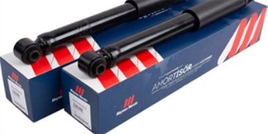 Citroen C-Elyse 2012-2020 Arka Amortisör Takımı