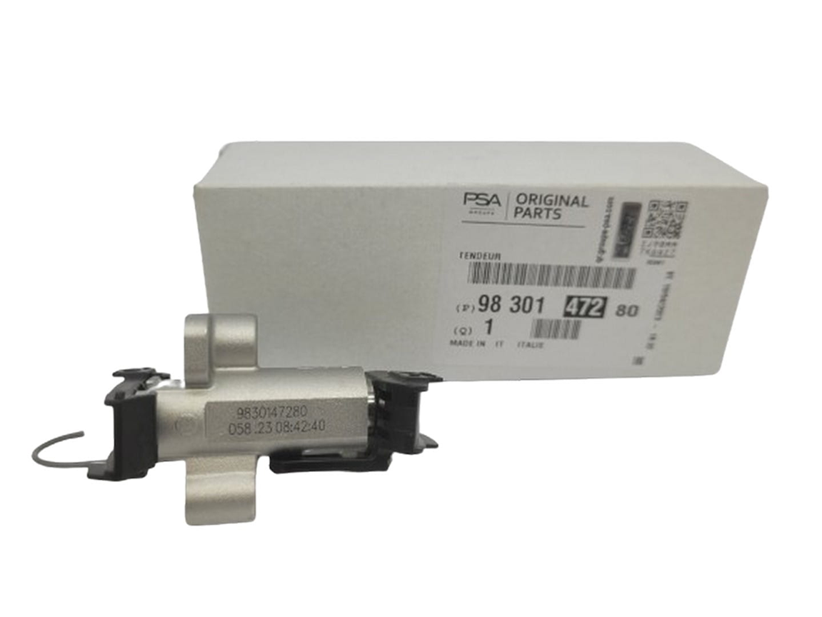 Eksantrik Zincir Gergisi Orijinal | PSA 9830147280