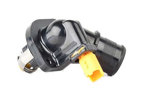 Citroen C2 1.4 Benzinli Termostat Bsg