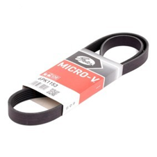 Peugeot 301 2012 - 2020 1.5 Dizel V kayışı | GATES 6PK1153