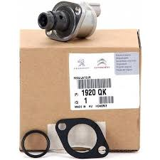 Peugeot Boxer 2006-2020 2.2 Hdi Mazot Pompa Müşürü Orijinal